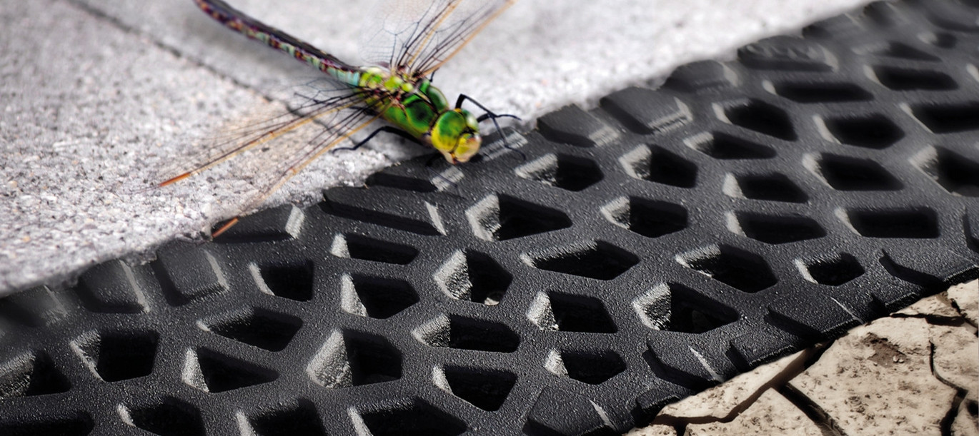 Voronoi Dragonfly