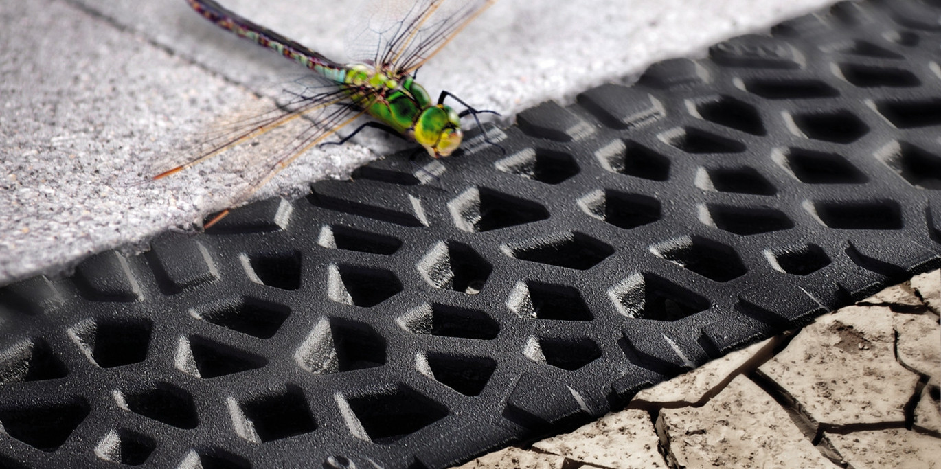 Voronoi Dragonfly