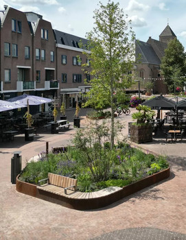 Referenz-raalte-teaser-aco