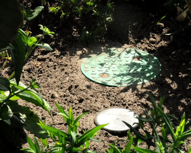 The tree beds are automatically supplied with rainwater.