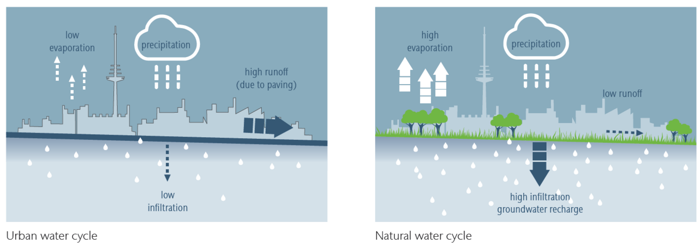 Water Cycle City Streets